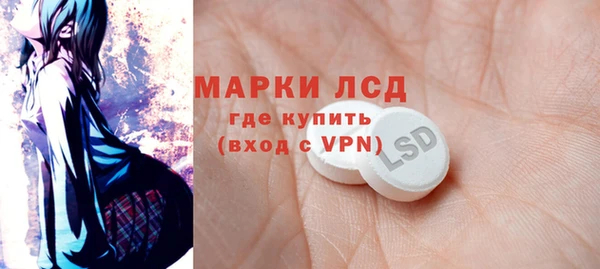 прущие грибы Армянск