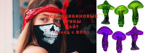 прущие грибы Армянск