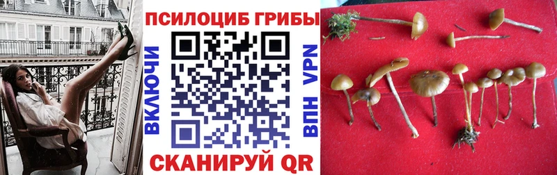Псилоцибиновые грибы GOLDEN TEACHER  как найти   OMG ТОР  Баймак 